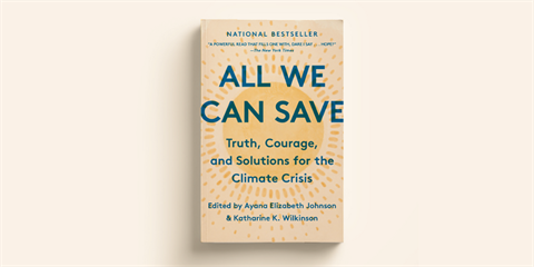 all-we-can-save.png