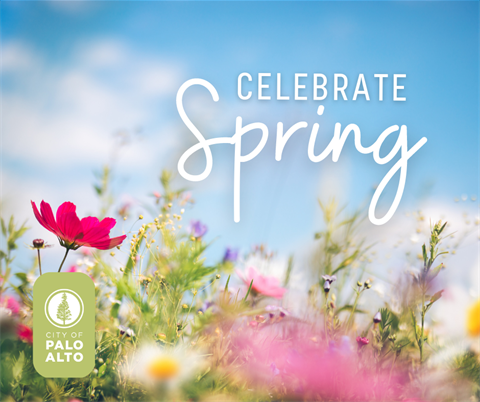 Celebrate Spring text with floral background