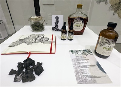 A vitrine with bottles of tinctures and a jar with redwood leaves, a sketch notebook, charcoal, an old photograph of El Palo Alto, and a printed poem on a postcard