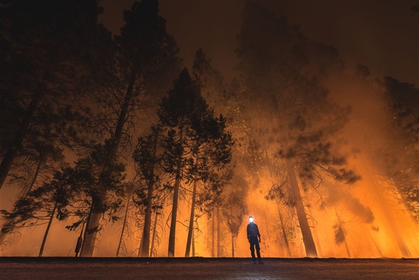 artist standing before a wall of forest wildfire