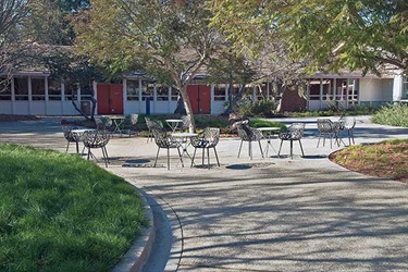 Sculpture Garden