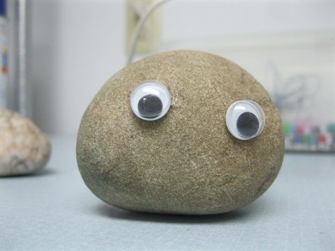 A rock with googly eyes