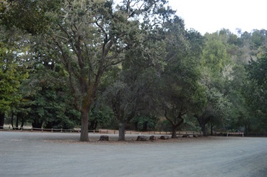 Foothills Nature Preserve