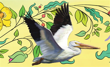 Detail Image of Mural by Liv Losee-Unger
