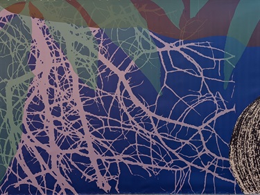 Sediment-Atlas-by-Eva-Struble