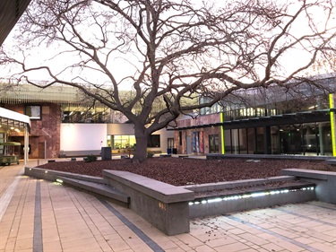Courtyard Area