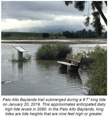 Palo Alto Baylands flooded from king tide event. 