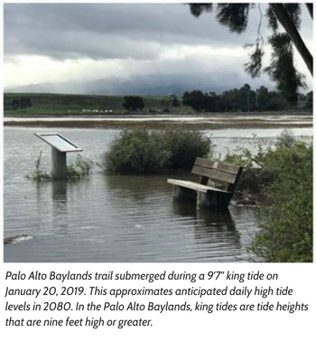 Palo Alto Baylands trail submerged during a 9'7" king tide on January 20, 2019. This approximates anticipated daily high tide levels in 2080. In the Palo Alto Baylands, king tides are tide heights that are nine feet high or greater.