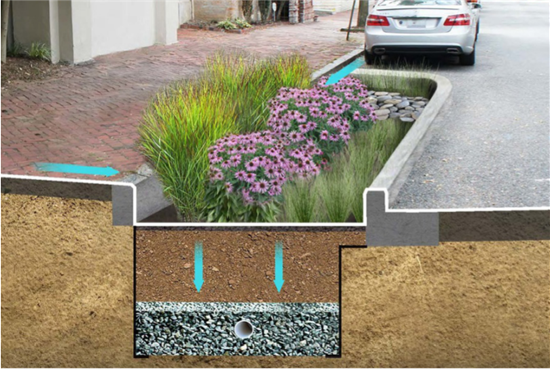 Crossview of a bioretention area.