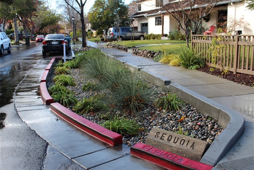 Bioretention area located at Sequoia and Escobita Avenues.