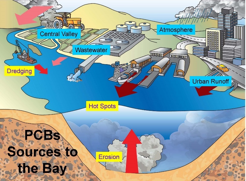 Sources of PCBs to the Bay.