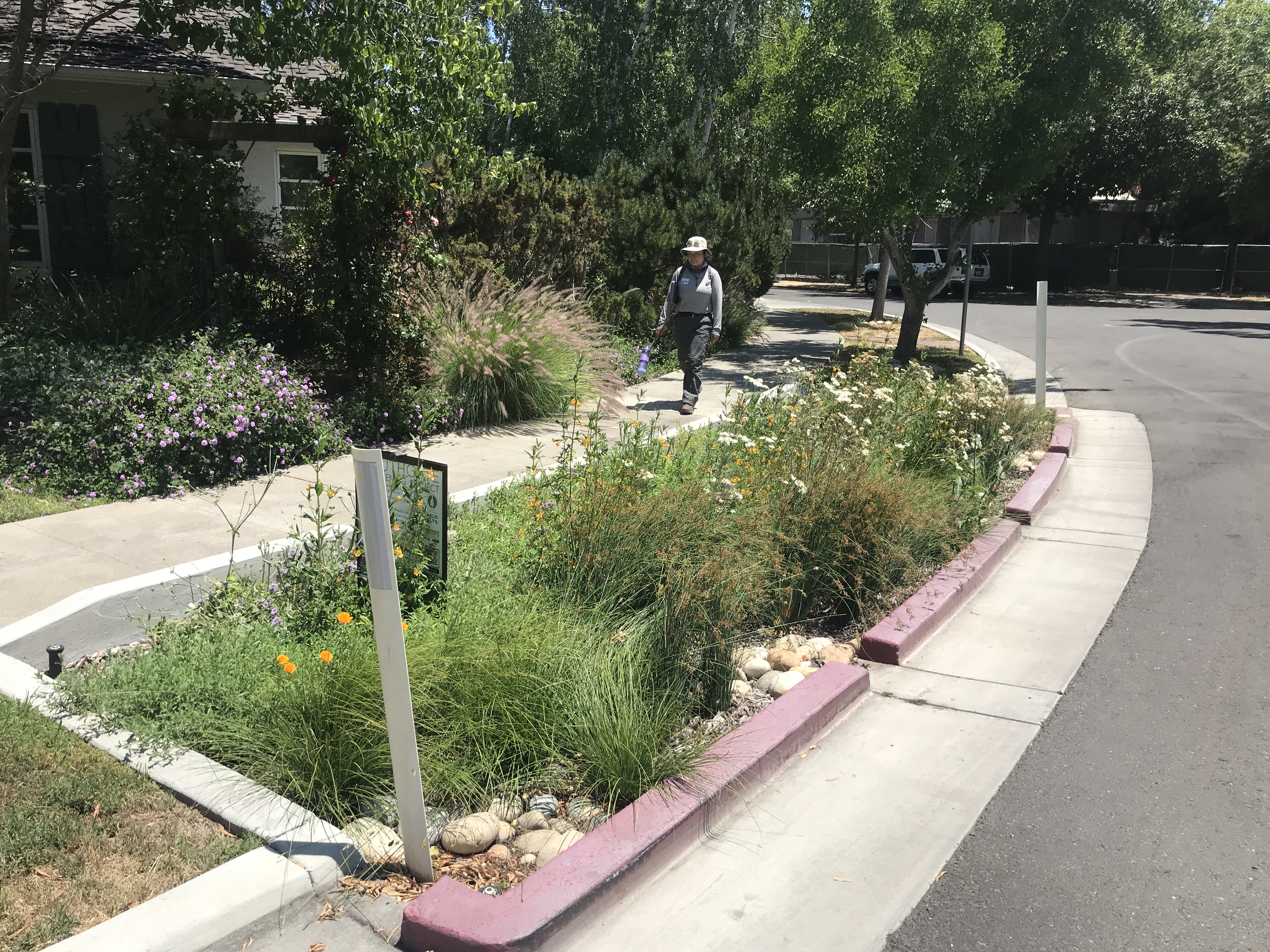 Green Stormwater Infrastructure (GSI) bioretention project
