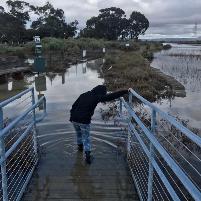 A person stands in a foot of flood water at the Baylands