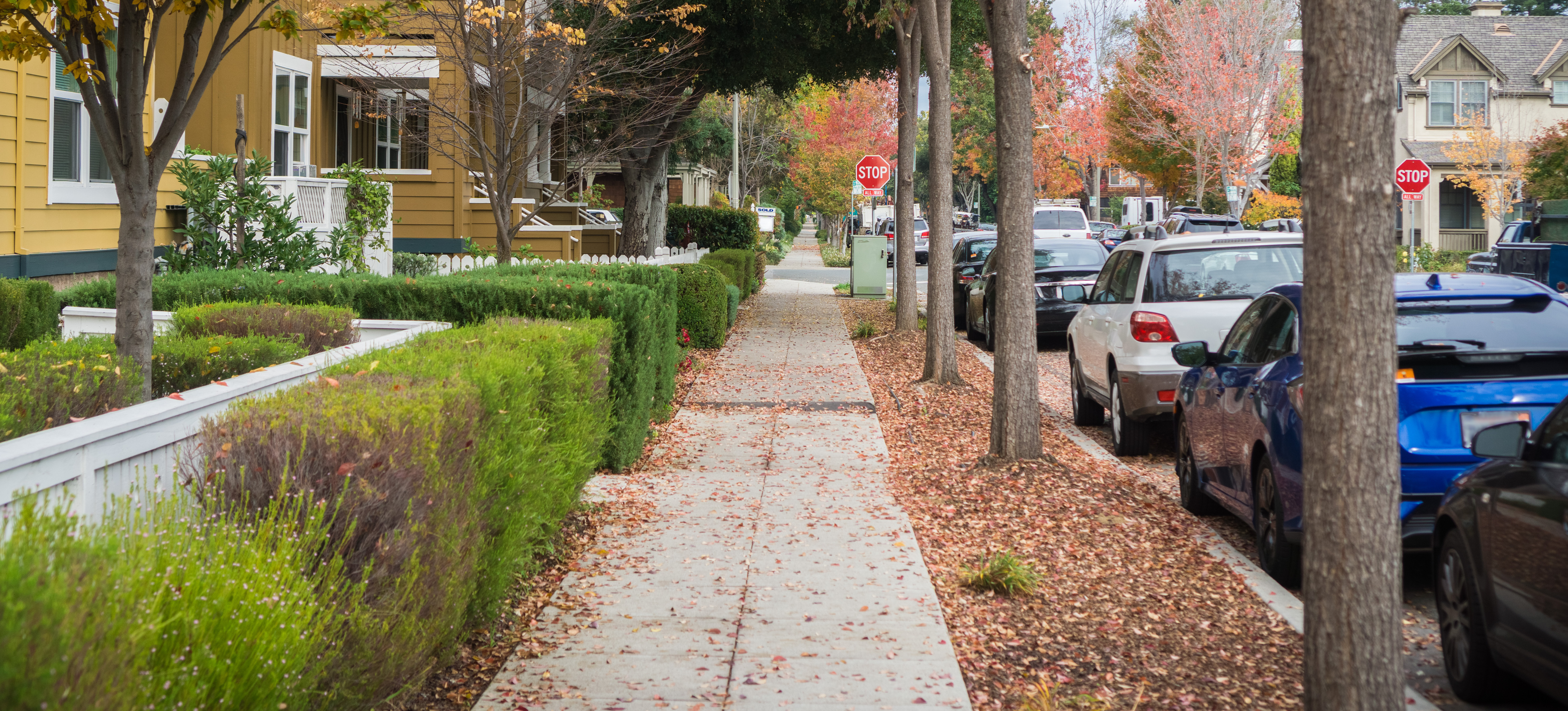 Street Parking in Palo Alto