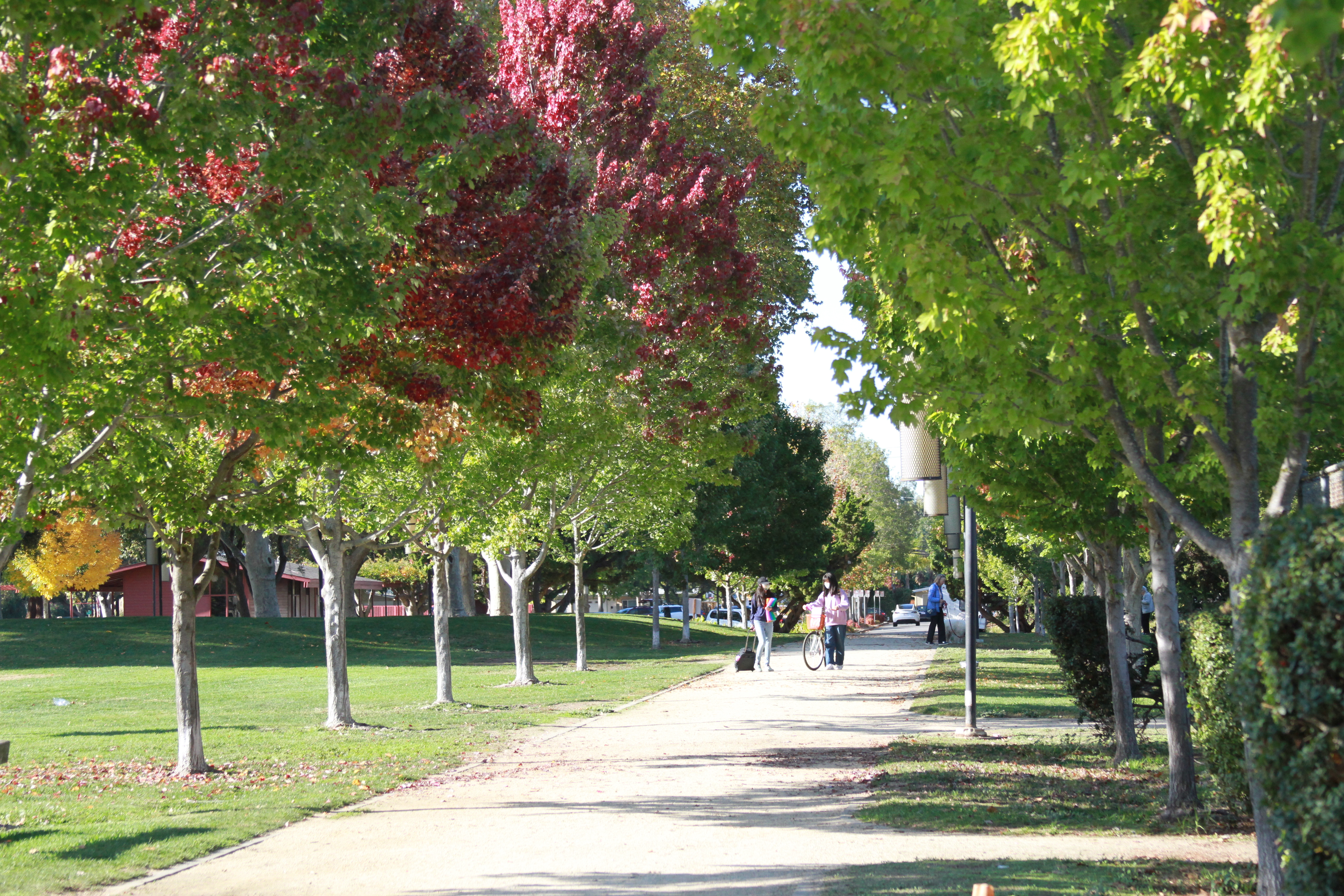 Two people walk and hold bicycles in a Palo Alto park