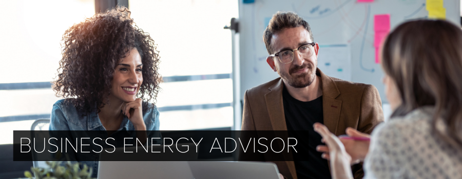 Business Energy Advisor Header.png