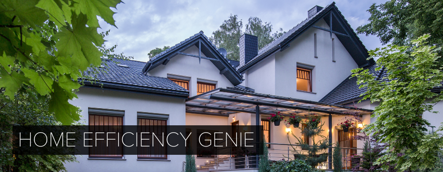 Home Efficiency Genie Header r1.png