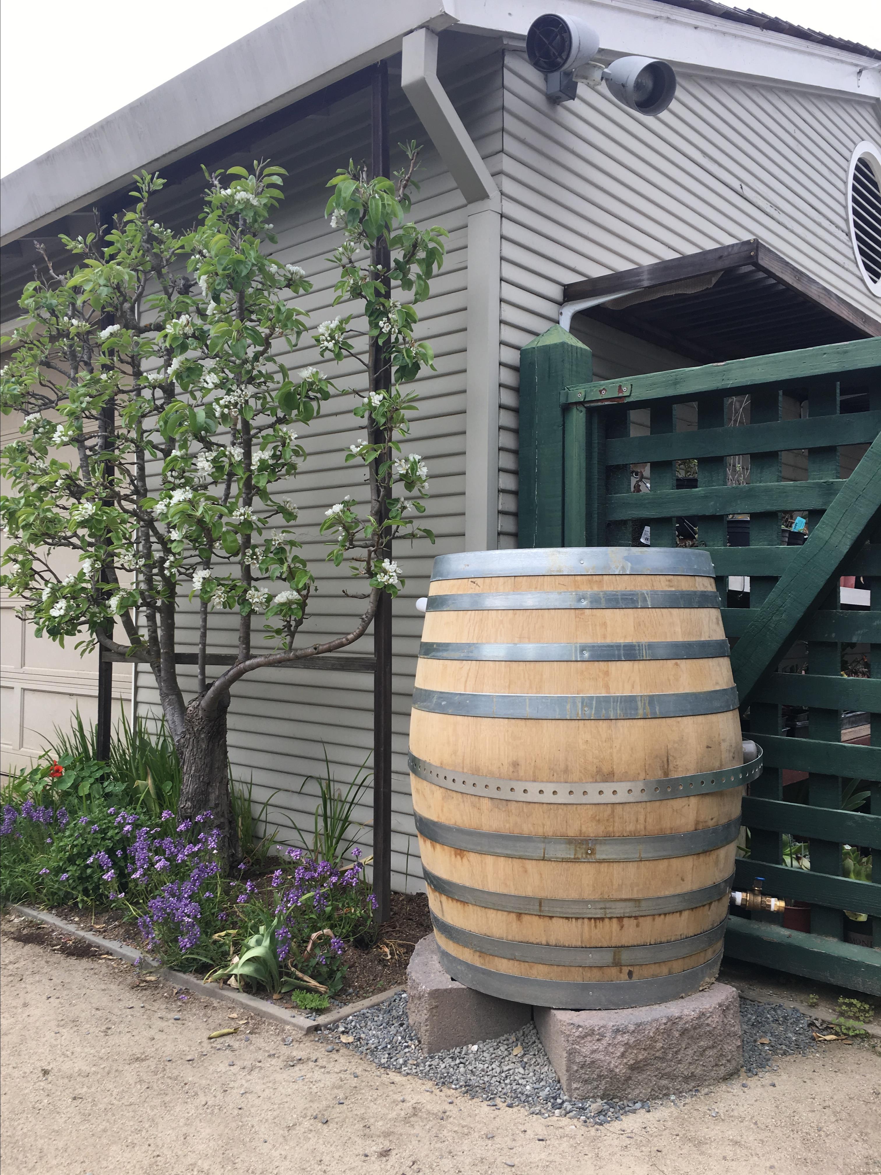 Apply for a Rain Barrel Rebate City of Palo Alto, CA