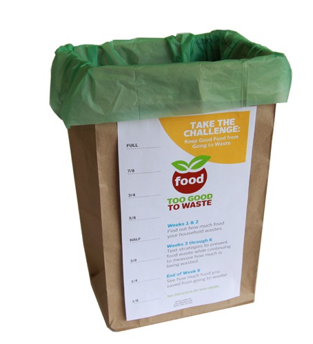 Food waste measurement bag