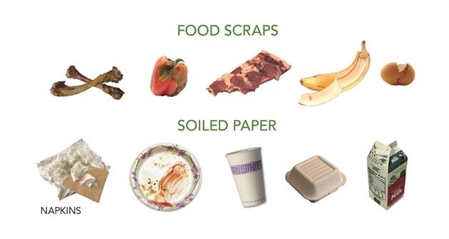 Examples of Food Scraps and Soiled Paper