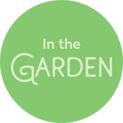 in the garden